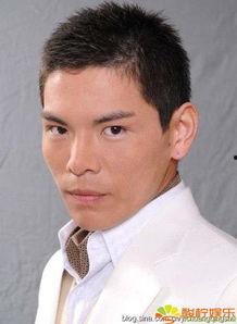 最新爆料向佐是谁啊,最新爆料，向佐究竟是谁？